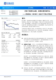 2023年中报点评报告:价格下跌影响业绩,核增放量贡献突出