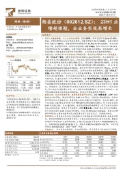 23H1业绩超预期,全业务实现高增长
