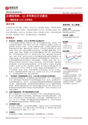 赛轮轮胎23H1点评报告：业绩超预期，Q2净利率近历史最佳