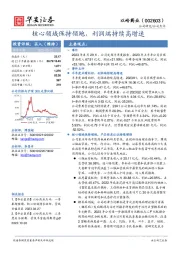 核心领域保持领跑，利润端持续高增速