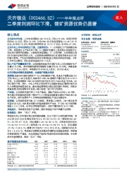 半年报点评：二季度利润环比下滑，锂矿资源优势仍显著