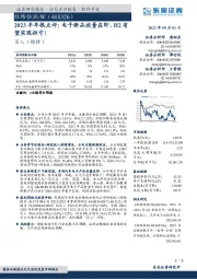 2023半年报点评：电子新品放量在即，H2有望实现扭亏！