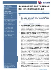 震安科技半年报点评:市政开工延缓影响业绩释放,多元化加规范化再铸龙头壁垒