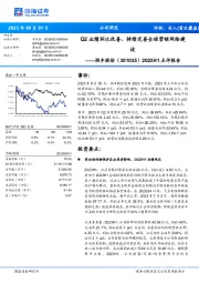 2023H1点评报告：Q2业绩环比改善，持续完善全球营销网络建设