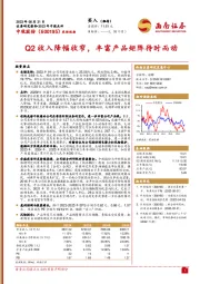 Q2收入降幅收窄，丰富产品矩阵待时而动