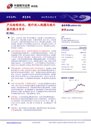 产品结构优化，境外收入规模与境内盈利能力齐升