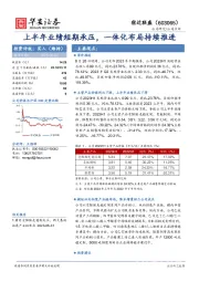 上半年业绩短期承压，一体化布局持续推进