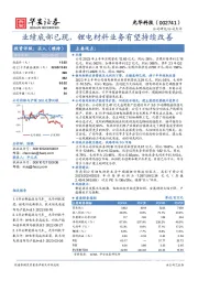 业绩底部已现，锂电材料业务有望持续改善