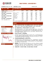 集成化产品布局优化，全球化体系提升竞争力