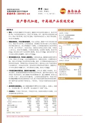 国产替代加速，中高端产品实现突破