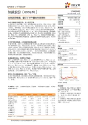 业务保持稳健，看好下半年营收利润弹性