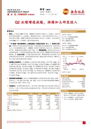 Q2业绩增速放缓，持续加大研发投入