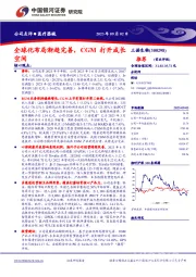 全球化布局渐趋完善，CGM打开成长空间