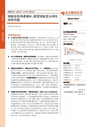 2023年中报点评:储能业务高速增长,新型储能龙头地位持续巩固