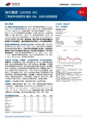 二季度净利润同比增长30%,全球化进程提速