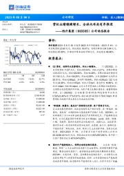 公司动态报告:营收业绩稳健增长,全球化布局有序推进