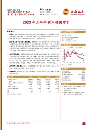 2023年上半年收入稳健增长