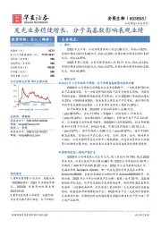 发光业务稳健增长，分子高基数影响表观业绩