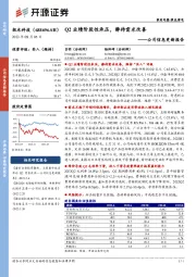 公司信息更新报告：Q2业绩阶段性承压，静待需求改善