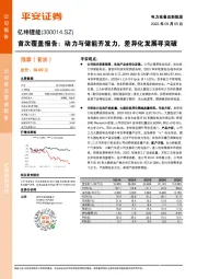 首次覆盖报告：动力与储能齐发力，差异化发展寻突破