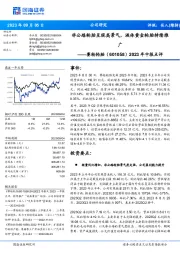 2023年中报点评:非公路轮胎呈现高景气,液体黄金轮胎持续推广