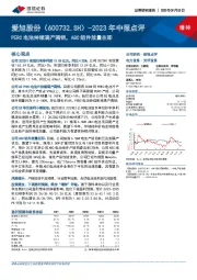2023年中报点评:PERC电池持续满产满销,ABC组件放量在即