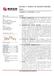 公司简评报告：镁价回落H1利润同比下滑 多项目投产在即打造高成长性