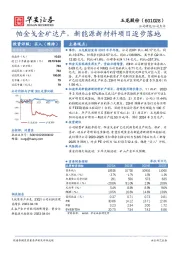 帕金戈金矿达产，新能源新材料项目逐步落地