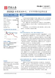 2023Q2业绩波动加大，下半年预计逐季改善