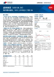 海外需求疲软，2023上半年收入下滑10%