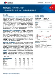 上半年业绩同比增长30%，内销业务快速增长