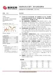 公司简评报告：新能源业务占比提升，海外业绩加速释放