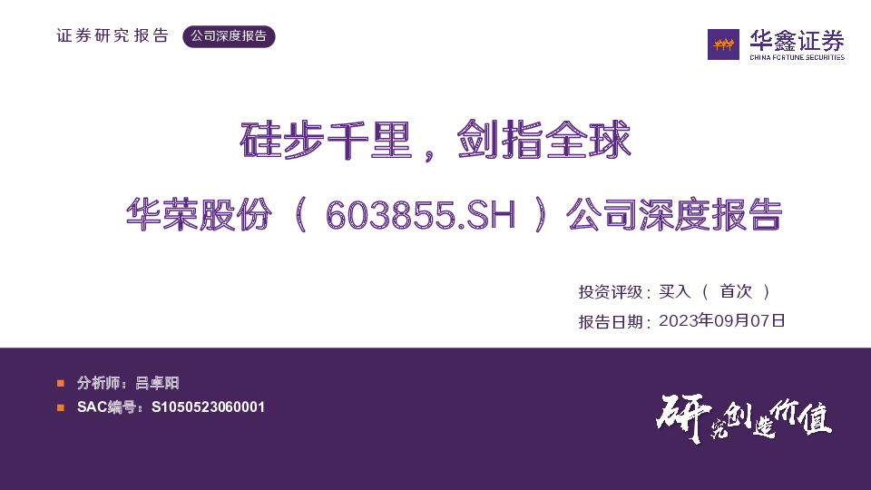 公司深度报告：硅步千里，剑指全球