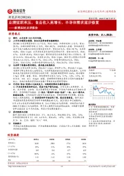 新莱应材点评报告:业绩短期承压,食品收入高增长、半导体需求逐步修复