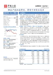 锂盐产能加速释放，静待下游需求复苏