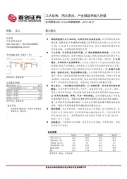公司深度报告:三大优势,两大亮点,产业链延伸渐入佳境
