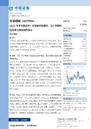 2023年半年报点评：出货量环比增长，Q2营收环比改善毛利率持续承压