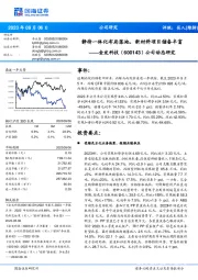 公司动态研究:静待一体化布局落地,新材料项目储备丰富