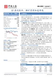 Q2盈利承压，锂矿资源加速布局