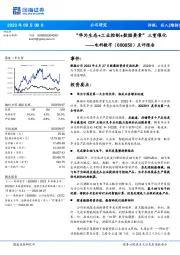 点评报告：“华为生态+工业控制+数据要素”三重催化