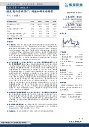 猛龙/高山开启预订,持续加码电动转型