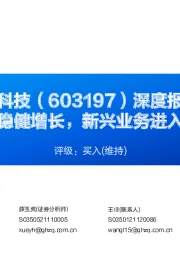 深度报告:传统业务稳健增长,新兴业务进入放量周期
