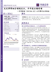 公司事件点评报告:光伏焊带细分领域龙头,半年报业绩高增