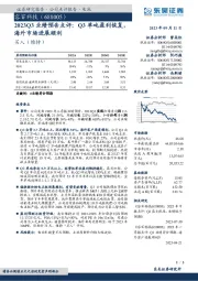 2023Q3业绩预告点评：Q3单吨盈利恢复，海外市场进展顺利