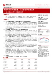 格林美2023年半年度业绩点评:青美邦项目快速放量,三元前驱体加速出海