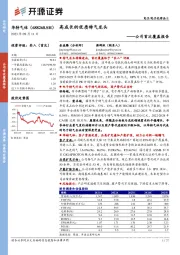 公司首次覆盖报告:高成长的优质特气龙头