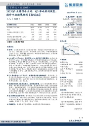 2023Q3业绩预告点评:Q3单吨盈利恢复,海外市场进展顺利【勘误版】