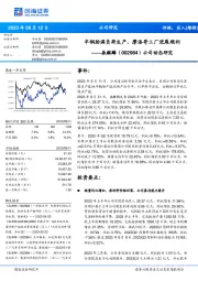 公司动态研究:半钢胎满负荷生产,摩洛哥工厂进展顺利