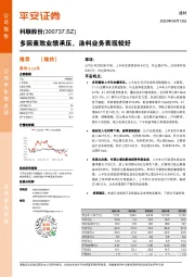 多因素致业绩承压，涂料业务表现较好