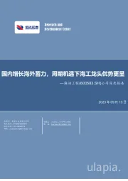 公司深度报告:国内增长海外蓄力,周期机遇下海工龙头优势更显